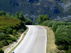 IMG_7995 IMG_7995