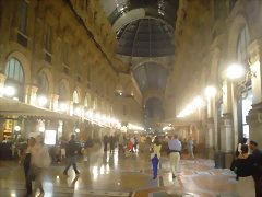 DSC07273 DSC07273