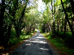 DSCN6320 DSCN6320
