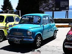 CAS_3982 CAS_3982