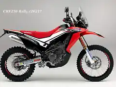 CRF250rally new.