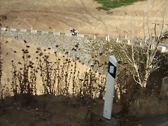 3 kedada - 115