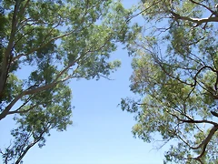 3 kedada - 092