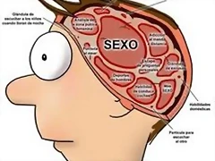 cabeza cabeza