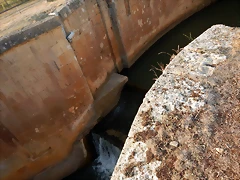 DSCN9488 DSCN9488