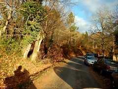 DSCN0382