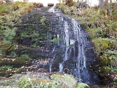 DSCN7991 DSCN7991