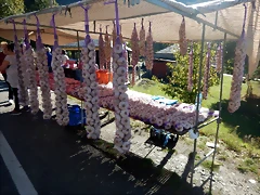 DSCN0164'2
