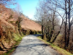 DSCN3626