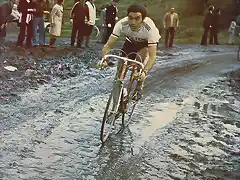 Merckx-Roubaix