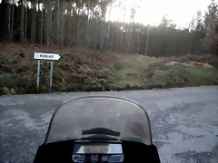 IMG_0515 IMG_0515