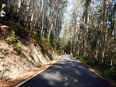 DSCN0709 DSCN0709