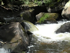 DSCN2833 DSCN2833