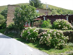 DSCN3189 DSCN3189
