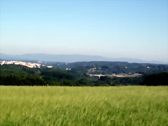 P1010146 P1010146
