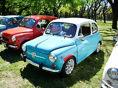 DSC_0674 DSC_0674