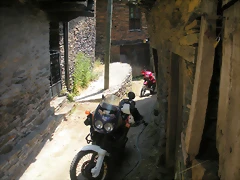 DSCN5842