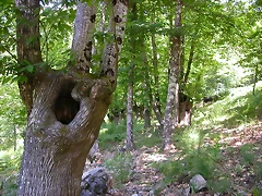 DSCN2114 DSCN2114