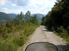 DSCN2129 DSCN2129