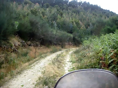 IMG_0444 IMG_0444