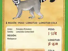 lemur de cola anillada