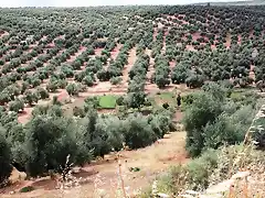 tabla desde el cerro