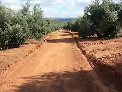 la soledad del camino