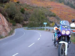DSCN6567