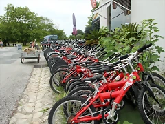 IMG_5160 (Copier)
