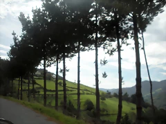 DSCN9445 DSCN9445