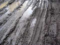 IMG_0486 IMG_0486