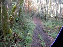 DSCN2069 DSCN2069