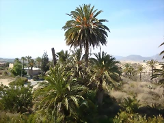 2-2-2010