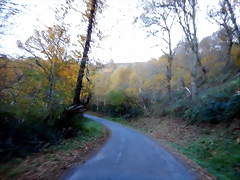 DSCN9482 DSCN9482