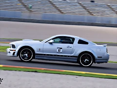 DSC_0391 DSC_0391