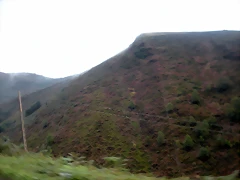DSCN8474 DSCN8474