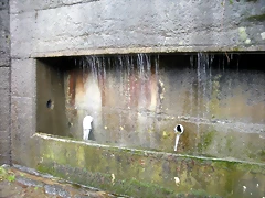 DSCN2804 DSCN2804