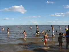 IMG_7945 IMG_7945