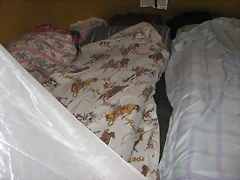IMG_7957 IMG_7957