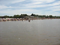 IMG_7990 IMG_7990