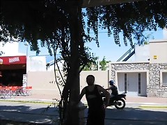 IMG_8074 IMG_8074
