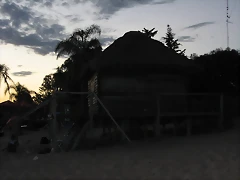 IMG_7964 IMG_7964