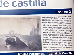 DSCN9533 DSCN9533