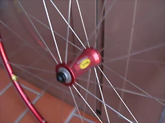 DSCN2906 DSCN2906