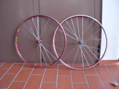 DSCN2902 DSCN2902