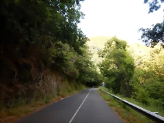 DSCN2421 DSCN2421