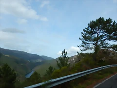 DSCN0350 DSCN0350