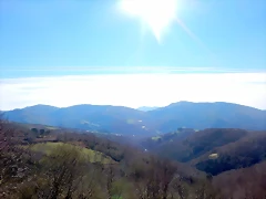 DSCN3623