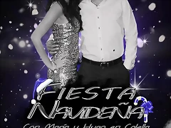 Cartel Fiesta Navide?a