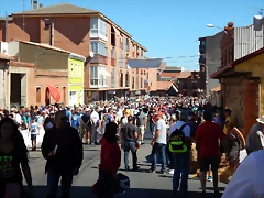 DSCN5783 DSCN5783